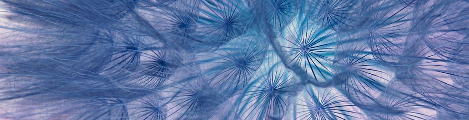 Sommermorgen Hypnose Therapie Ostschweiz Angebot