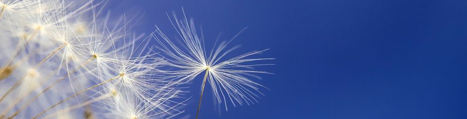 Hypnose Therapie Claudia Nyffeler Gästebuch